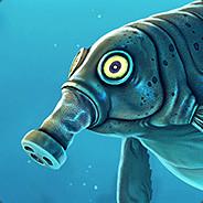 Der_Wueterich's Stream profile image