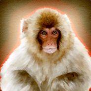 oamono's Stream profile image