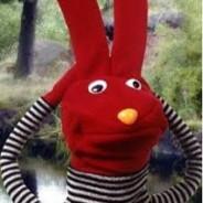 acucarachin123's Stream profile image