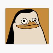 Strobltheking21's Stream profile image