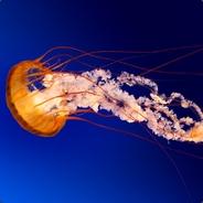 TerrorKing789's Stream profile image