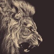 Puddin's Stream profile image