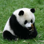 kYpu4's Stream profile image