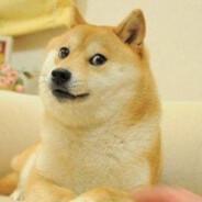 有狗在叫's Stream profile image