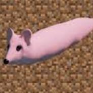 foxwithglocks's Stream profile image