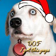 Dof's Stream profile image