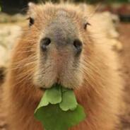 Nevermoar's Stream profile image