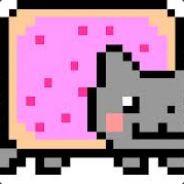 cat's Stream profile image