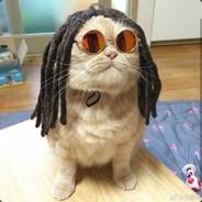 熊貓的蔴葉種植園's Stream profile image