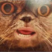 Bizzlebazzle's Stream profile image