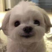 saliva🌸's Stream profile image