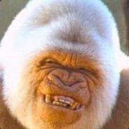 Potato's Stream profile image