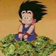 CMPC AUSPICIA's - Steam avatar