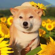 bedcrumbs's Stream profile image
