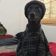 Blackie Chan's - Steam avatar