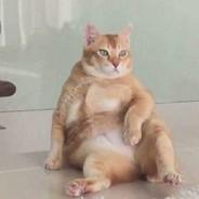 快乐猛男's Stream profile image