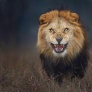 Captain Hindsight's - Steam avatar