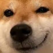 儒雅随和's Stream profile image