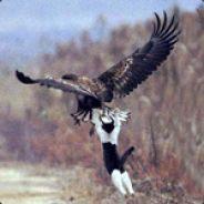 Joel's Stream profile image