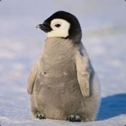 Para's Stream profile image
