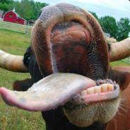 Martin's Stream profile image