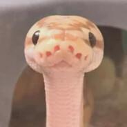 Worm's - Steam avatar
