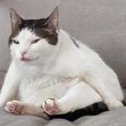 Alfred the pretty good's Stream profile image