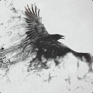ZGRTech's Stream profile image
