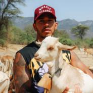 Lewis Carl Davidson Hamilton's Stream profile image