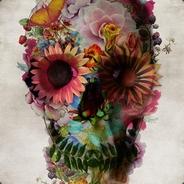 radamir's Stream profile image
