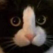 VNS_YO's - Steam avatar