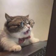 cicici's Stream profile image