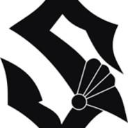 Salen 363's Stream profile image