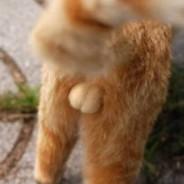 Snufkin's - Steam avatar