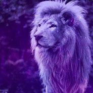 Czech_Albatros's Stream profile image