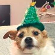 lvl.10 Elf Bardling's Stream profile image