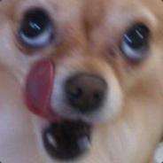 MalleZard's Stream profile image